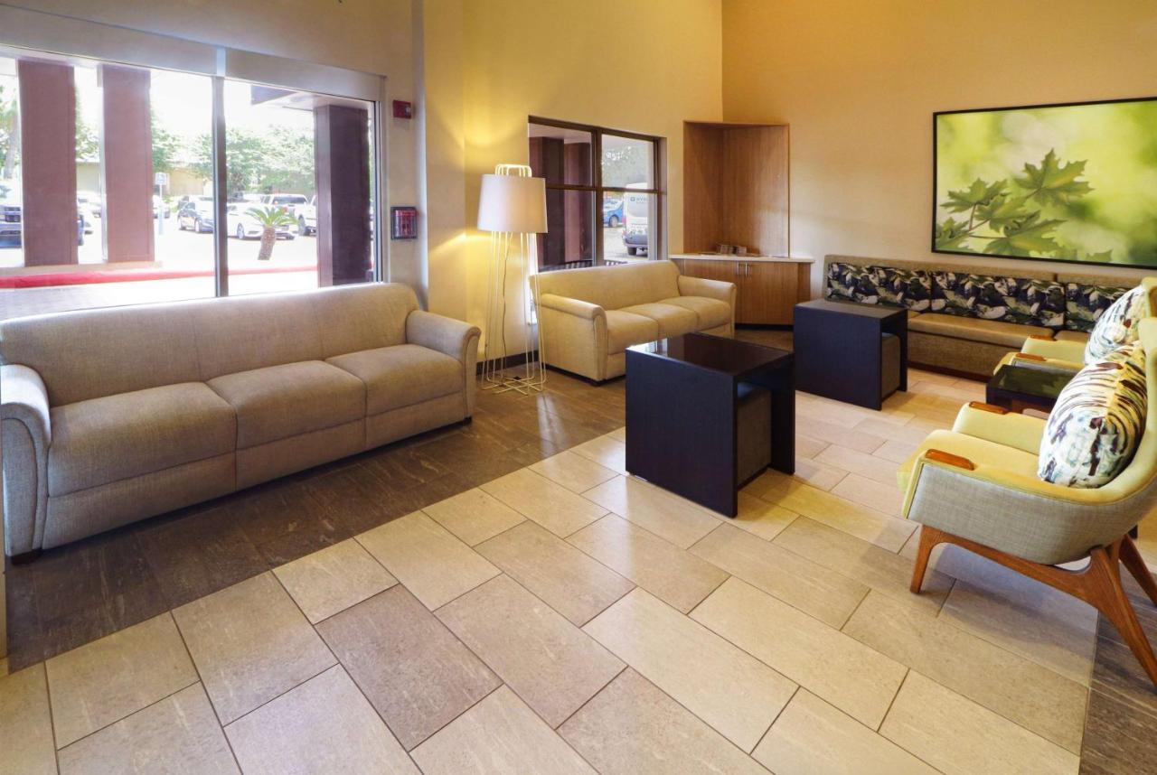Wyndham Garden Mcallen At La Plaza Mall Kültér fotó